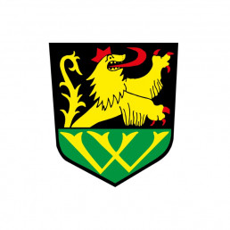 Fußballverein SV Walbeck